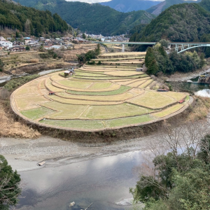 食べて、温めて、整える。僕の年末年始と身体の話｜甲子園口よしゆき鍼灸院！